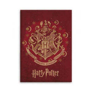 Plaid Polaire 40x50inch(100x130cm) Adulte Harry Potter, Douce