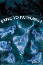 Poster Harry Potter - Patronus (61X91cm)