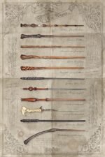 Poster - The Wand Chooses The Wizard (61X91cm)