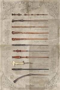 Poster - The Wand Chooses The Wizard (61X91cm)