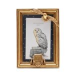 Cadre Photo Harry Potter - Hedwige