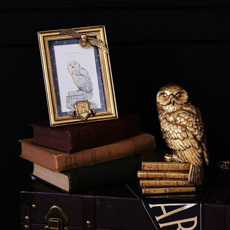 Cadre Photo Harry Potter - Hedwige – Image 3