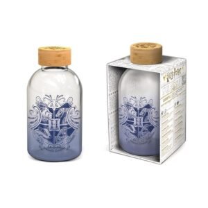 Bouteille en verre - format (620ml)